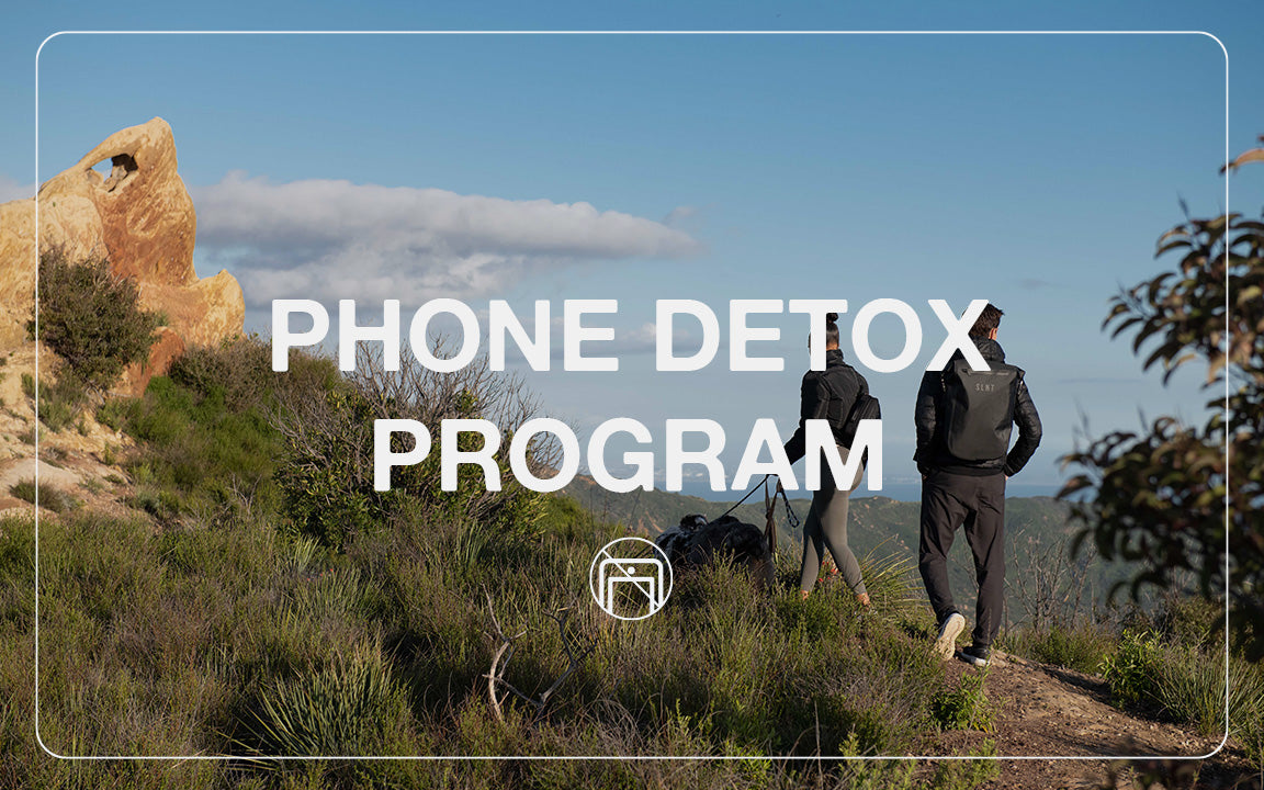 phone detox program