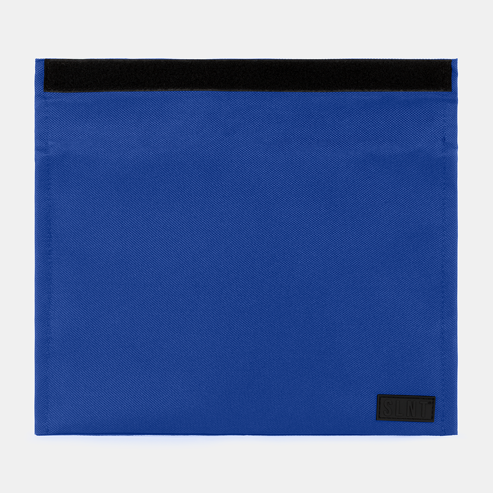 Large Canvas Tablet Pouch, Blue (Transparent)